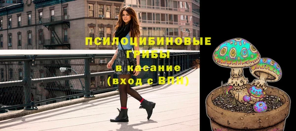 СК Липки