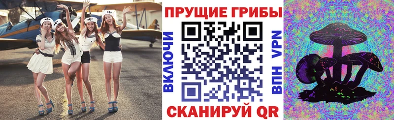 Галлюциногенные грибы GOLDEN TEACHER  Фокино 